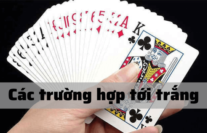 5 đôi thông có tới trắng không